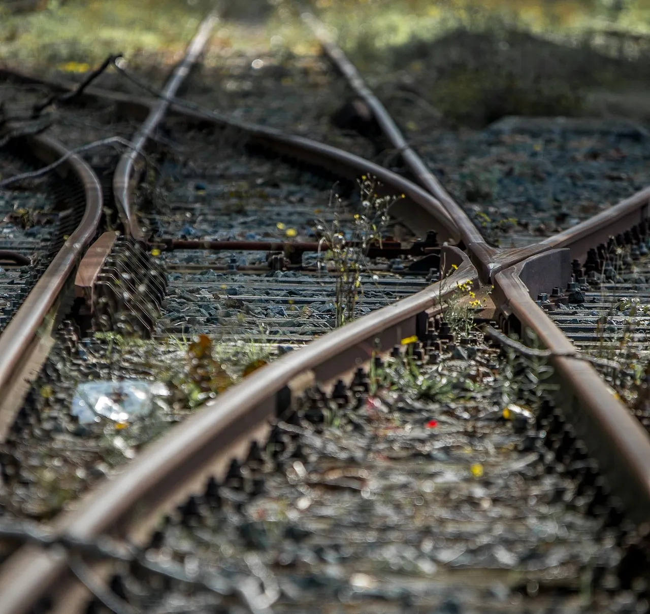 Close-up view of old railway tracks with overgrown vegetation, capturing a rustic and abandoned mood.